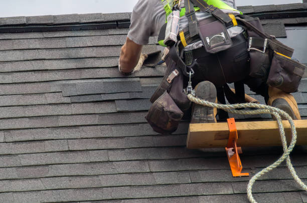 Best Commercial Roofing Services  in Birch Run, MI
