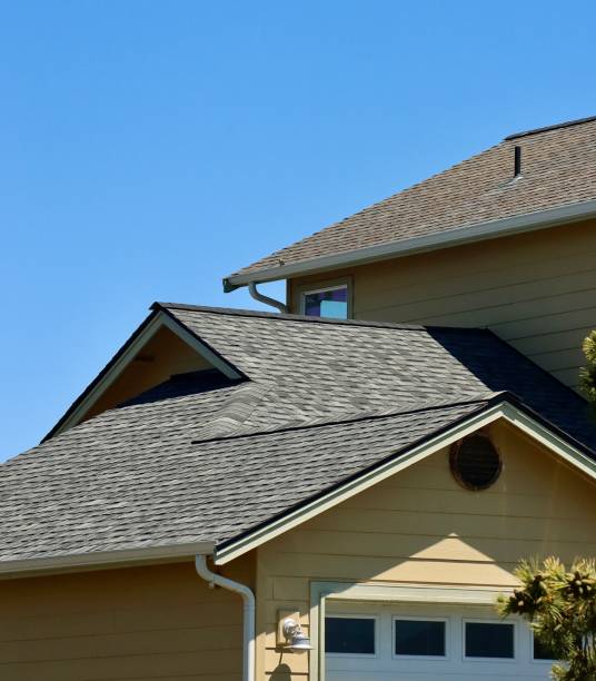 Best Roof Coating and Sealing  in Birch Run, MI